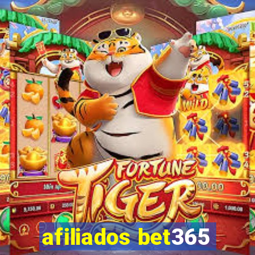 afiliados bet365